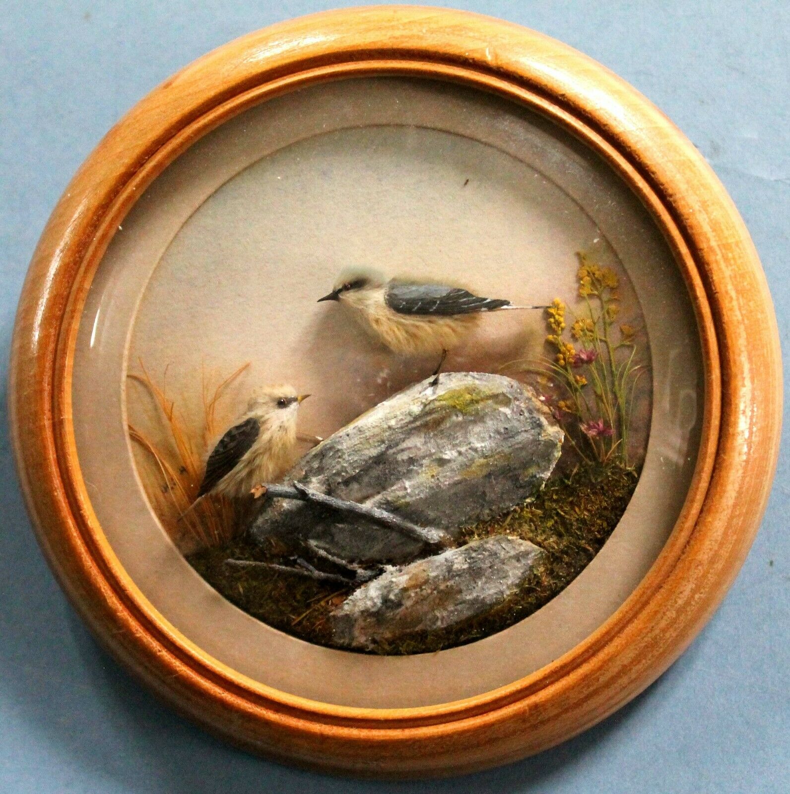 Wheatear and Young (Version 2) (5-inch)